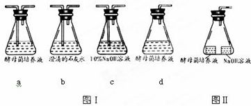 基因工程与植物细胞工程的核心技术及应用
