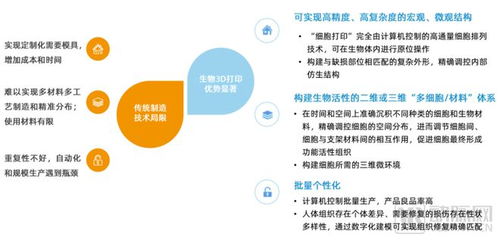 技术替代与商业化双轮驱动 细胞再生材料与组织工程成潜力赛道