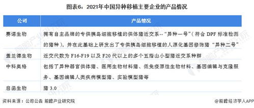 洞察2022 中国异种移植行业竞争格局深度解析——研发对比、投融资与业务布局盘点