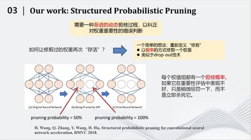 深度神经网络压缩与加速技术的细胞启发式创新与应用